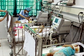 Hà Nội tăng cường phòng chống bệnh viêm não Nhật Bản