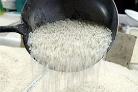 Hàn Quốc có thể đánh thuế trên 500% đối với gạo nhập khẩu