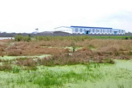 Chuyển mục đích sử dụng đất trồng lúa trên địa bàn Đồng Nai