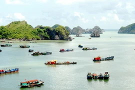 Hải Phòng đẩy mạnh phát triển du lịch biển đảo thu hút du khách