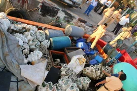 Tàu cá QNg95841TS chở vỏ sò. (Ảnh: Ly Kha - TTXVN)