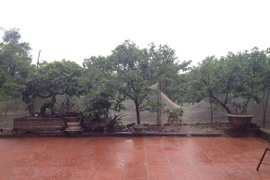 Miền Bắc mưa to, vùng núi có nguy cơ lũ quét và sạt lở đất