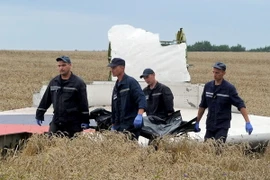 Malaysia Airlines đổi số hiệu chuyến bay MH17 thành MH19 