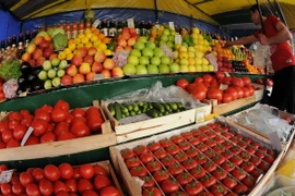 Các nước bị cấm xuất khẩu sang Nga phải tìm kiếm thị trường mới