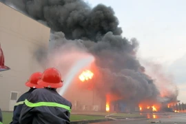 Bình Dương: Dập tắt vụ hỏa hoạn nghiêm trọng tại Công ty Sakata