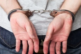 Triệt phá đường dây mua bán ma túy lớn, bắt "bà trùm" 80 tuổi