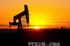 Ảnh minh họa. (Nguồn: AFP/TTXVN)