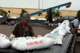 Cần Thơ đầu tư 1.500 tỷ đồng nâng cấp cảng biển, cảng sông