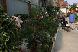 Hà Nội: Chợ Mơ truyền thống nhộn nhịp trước ngày khai trương