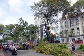 TP.HCM: Nhiều khó khăn trong xây dựng các tuyến đường sắt đô thị