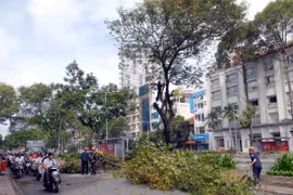 TP.HCM: Nhiều khó khăn trong xây dựng các tuyến đường sắt đô thị