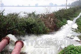 Ảnh minh họa. (Nguồn: TTXVN)