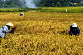 Việt Nam-Sudan cùng thúc đẩy hợp tác trên nhiều lĩnh vực