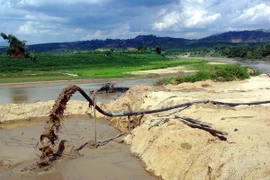 Ngừng hoạt động hút cát tại các đoạn sạt lở bờ sông Vàm Cỏ Đông