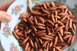 Đặc sản hạt bàng Côn Đảo - món ngon không thể bỏ qua