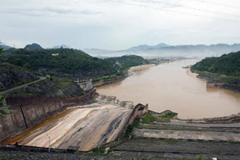 Phát động trồng rừng bảo vệ môi trường thủy điện