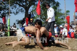Hội vật làng Sình. (Ảnh: Quang Ngọc/TTXVN)