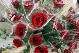 Nhiều loại hoa tươi Đà Lạt tăng giá mạnh trong dịp lễ 20/10