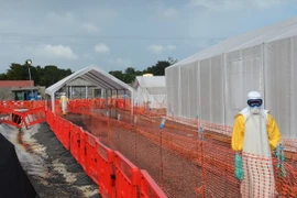 Ấn Độ phát hiện trường hợp đầu tiên dương tính với virus Ebola