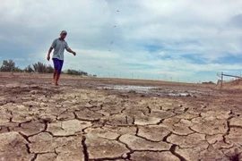 Bình Định: Nhiều địa phương khô hạn, thiếu nước trầm trọng 