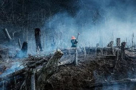 ''Sự tàn phá của con người'' đoạt Giải thưởng tài năng 2014