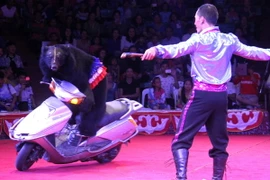 Chương trình xiếc đặc biệt phục vụ cộng đồng người Việt tại Lào