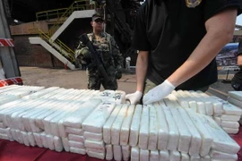 Cảnh sát Honduras thu giữ 743kg cocain được cất giấu tinh vi