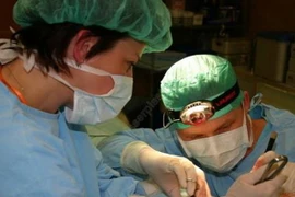 Cộng hòa Séc: Viện IKEM thực hiện nhiều ca ghép gan phức tạp