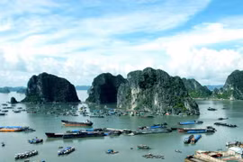 Bảo vệ môi trường biển giúp Vịnh Hạ Long hút khách