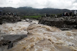 Lai Châu: Lũ ống cuốn trôi 7 người, nhiều hoa màu thiệt hại nặng