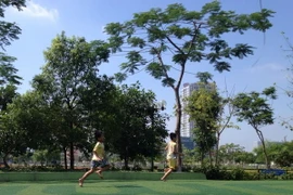 Bắc Bộ nắng đẹp, Tây Nguyên và Nam Bộ đề phòng mưa đá