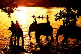 Sắp khai mạc Triển lãm Ảnh nghệ thuật toàn quốc 2014 tại Đà Lạt