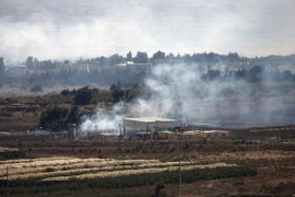 Đức và Thổ Nhĩ Kỳ tuyên bố không tham gia không kích IS