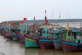 Các tỉnh Đông Bắc Bắc Bộ đã có mưa vừa, mưa to đến rất to