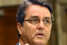 WTO sẵn sàng hỗ trợ Việt Nam hội nhập kinh tế quốc tế