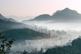 Sương giăng trên các triền núi ở huyện Đồng Văn, Hà Giang. Ảnh minh họa. (Nguồn: TTXVN)