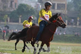 Đua ngựa Bắc Hà. Ảnh minh họa. (Nguồn: TTXVN)