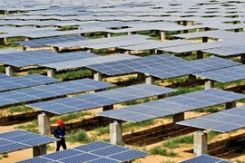 Tập đoàn Sharp tăng cường hoạt động kinh doanh pin Mặt Trời