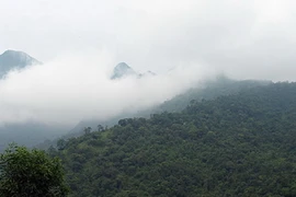 Điều chỉnh một phần Vườn quốc gia Ba Vì về tỉnh Hòa Bình quản lý