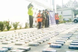 Số cocaine bị bắt giữ. (Ảnh: El Meridiano de Sucre)