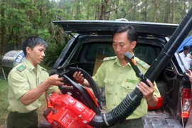 Sẵn sàng phòng chống cháy rừng tại Khu di tích Gò Tháp 