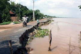 Cần Thơ có 38 điểm bờ sông bị sạt lở, ảnh hưởng tới 200 hộ dân