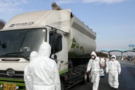 Hàn Quốc lại phát hiện ổ dịch cúm gia cầm mới bùng phát