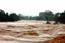 Tìm thấy thi thể nạn nhân bị nước cuốn trên sông Đắk Măng