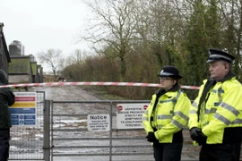 Chủng virus cúm gia cầm vừa phát hiện tại Anh là H5N8 