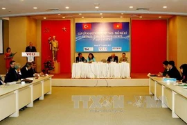 Gặp gỡ doanh nghiệp Việt Nam-Thổ Nhĩ Kỳ (Nguồn: TTXVN)