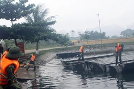 Thụy Điển chia sẻ kinh nghiệm trong ứng phó thảm họa thiên tai