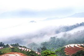 Bắc Bộ nắng nhẹ, Nam Bộ chiều tối có mưa rào và dông rải rác 