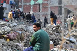 Ai Cập: Nạn nhân của các vụ tai nạn sẽ được điều trị miễn phí