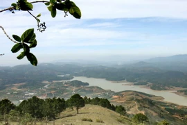 Bắc Bộ dịu mát, Tây Nguyên và Nam Bộ có mưa dông rải rác